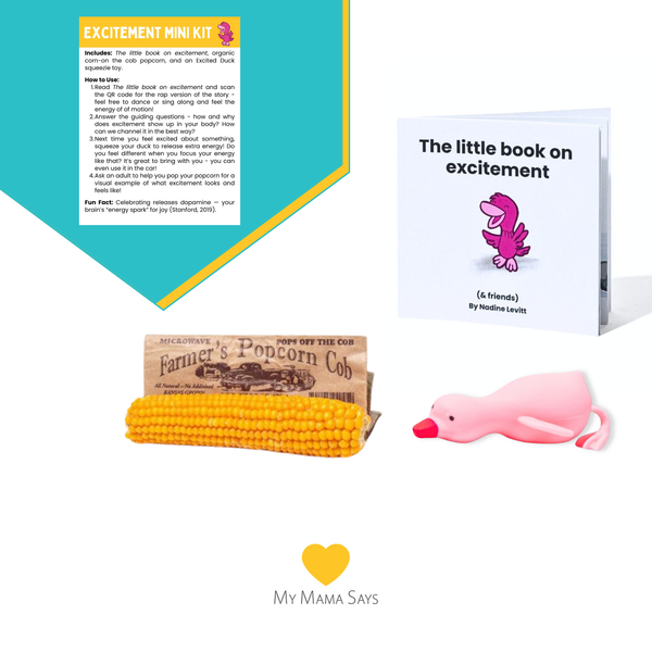Excitement emotion learning mini kit