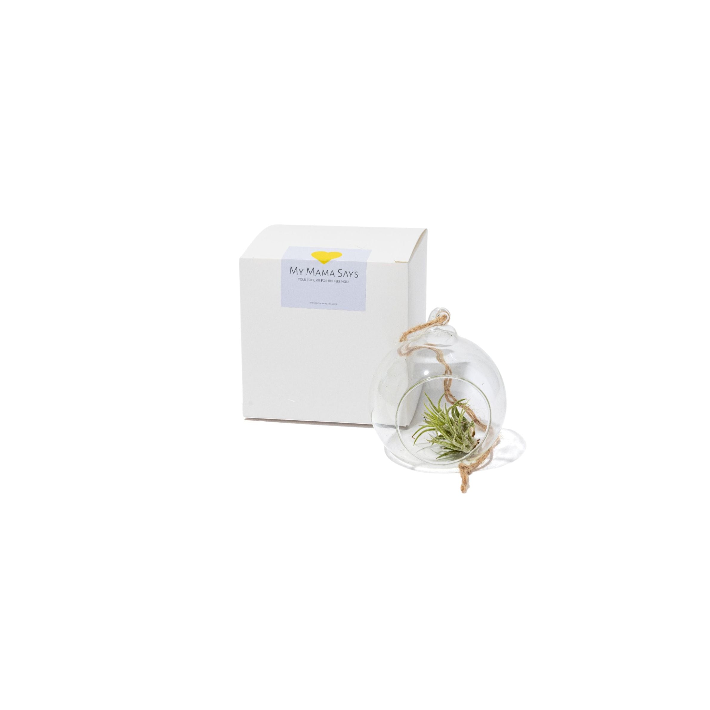 Jealousy emotion learning mini kit