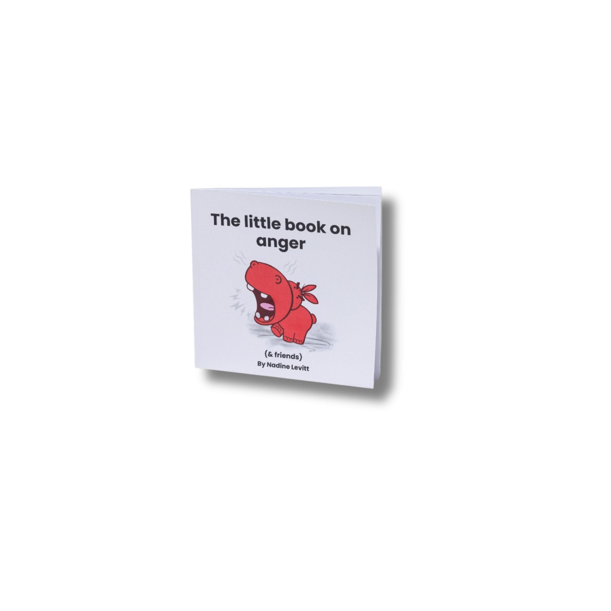 The little book on anger angled lifestyle cover